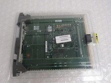 51455081