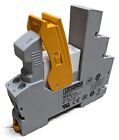 RIF-1-RSC-LDP-24DC2X21